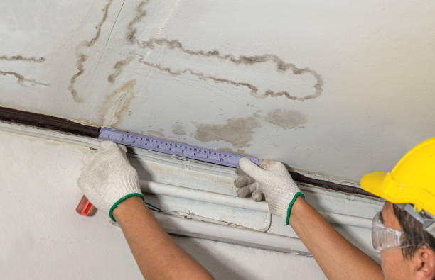 Affordable Burst Pipe Water Damage solutions in North Lewisburg, OH